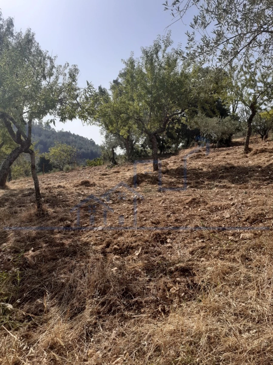 Terreno para Venda em Felgueiras e Maçores Foto 3