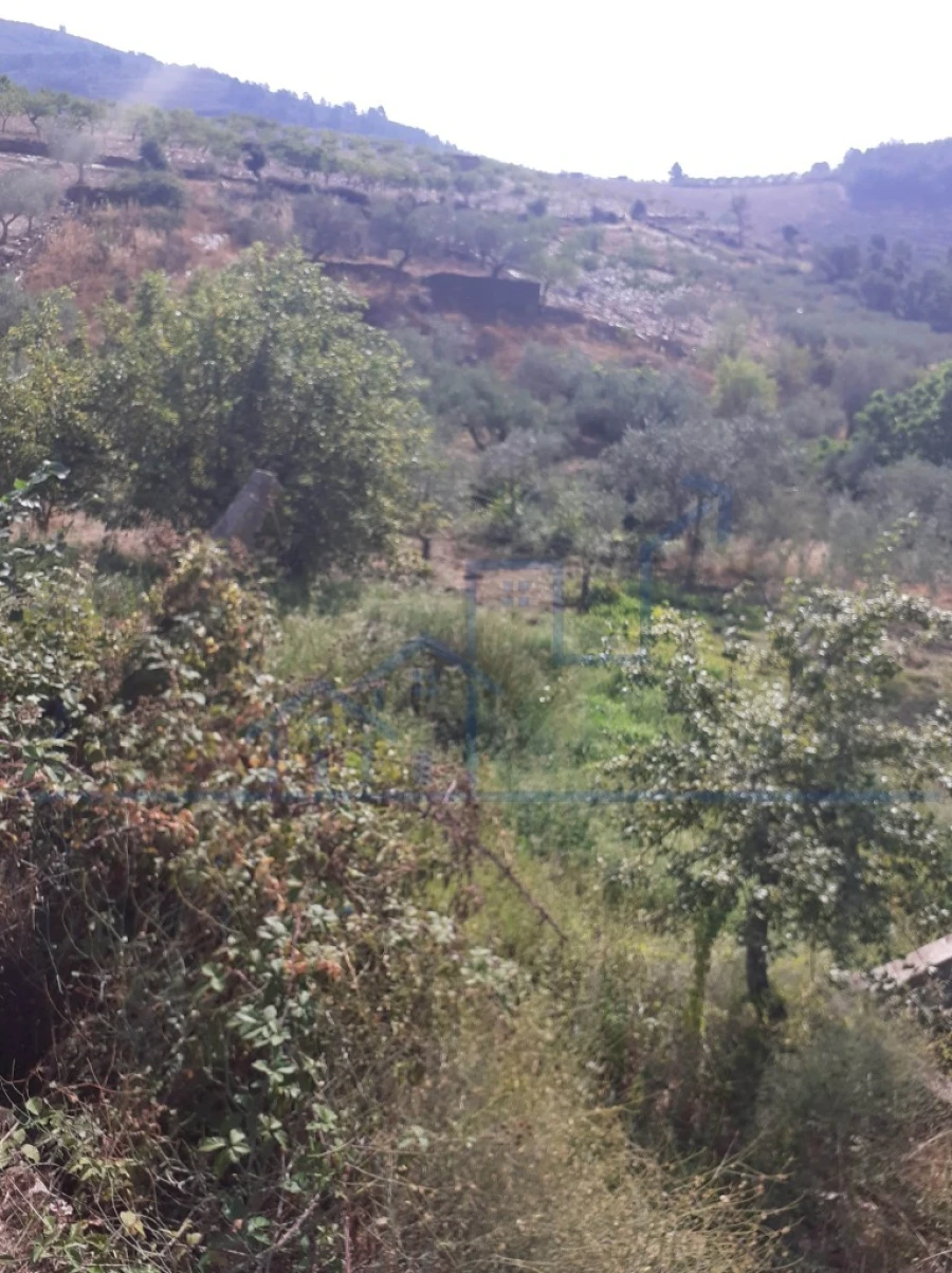 Terreno para Venda em Felgueiras e Maçores Foto 4