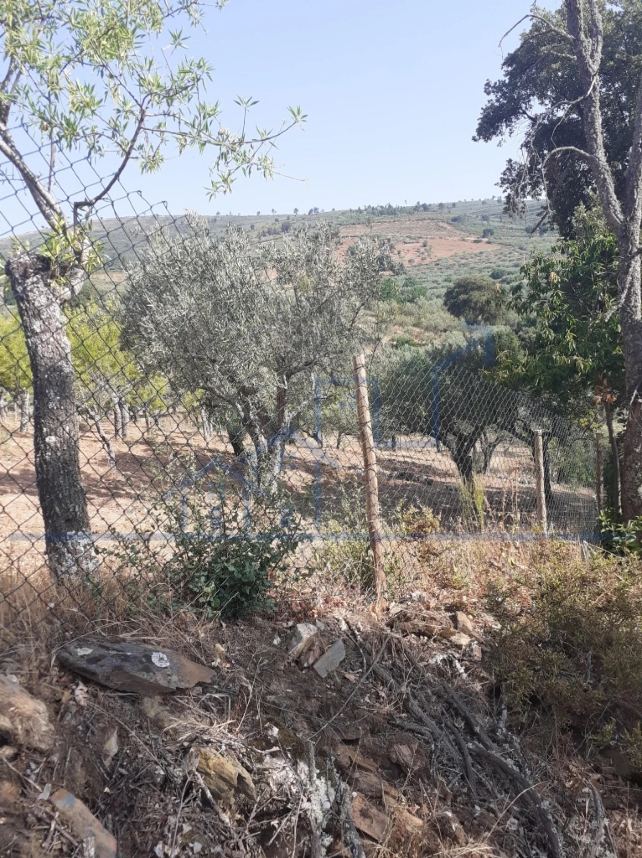 Terreno para Venda em Felgueiras e Maçores Foto 12