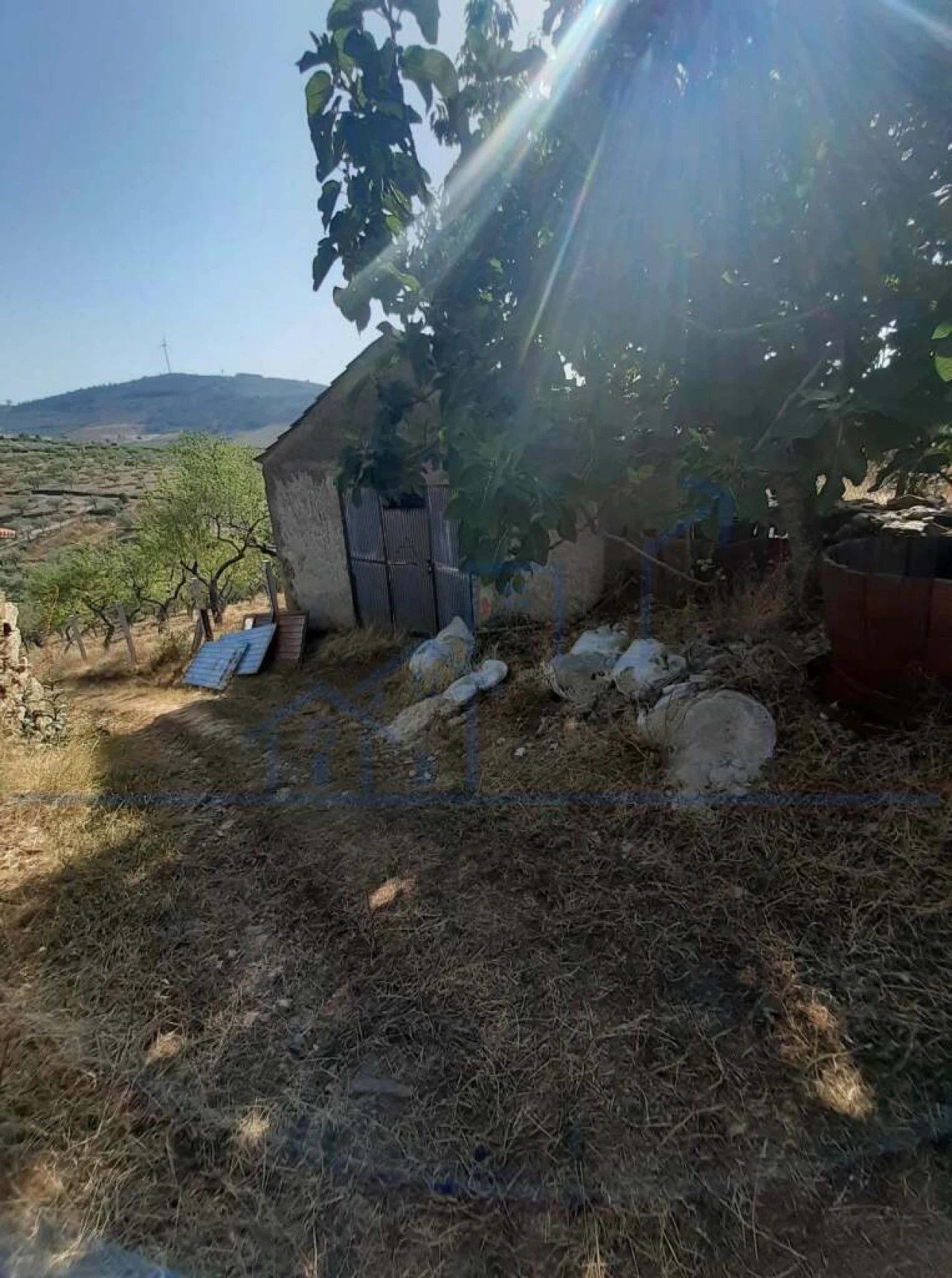 Terreno para Venda em Felgueiras e Maçores Foto 7
