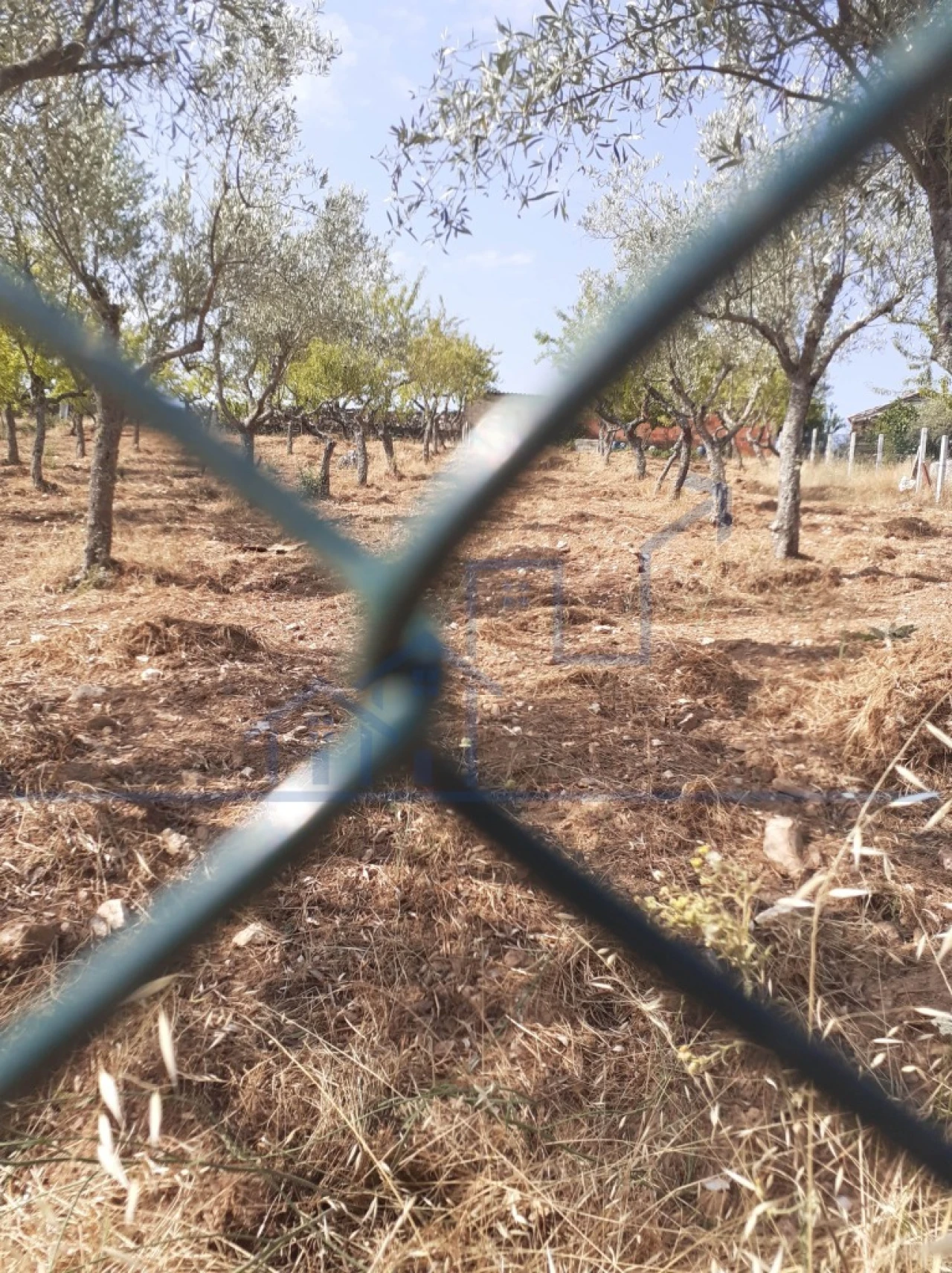Terreno para Venda em Felgueiras e Maçores Foto 5