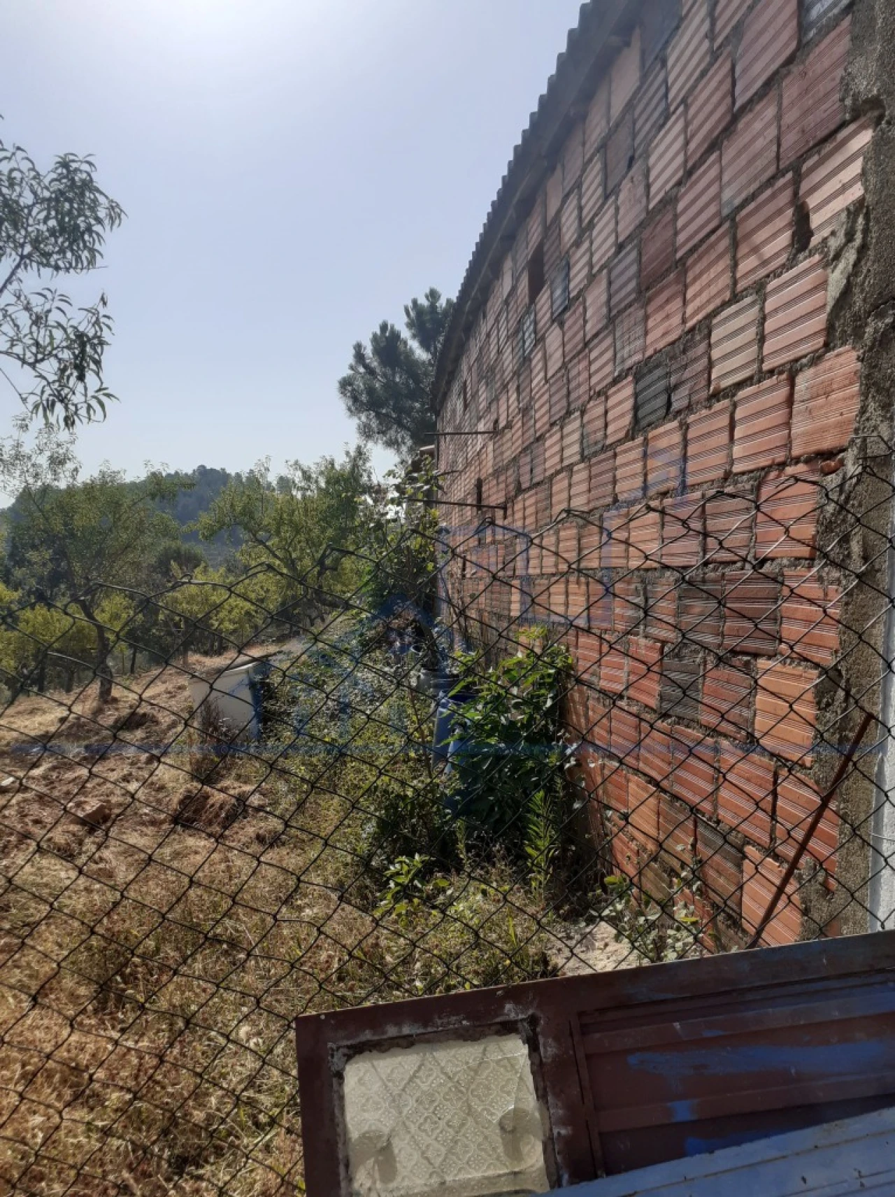 Terreno para Venda em Felgueiras e Maçores Foto 6