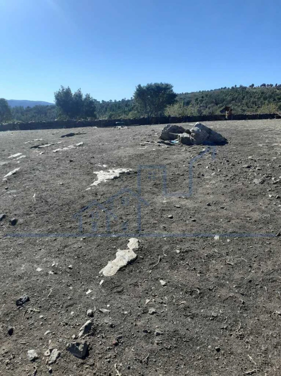 Terreno para Venda em Poiares Foto 5