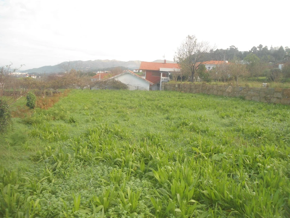 Terreno para Venda em Gondarem Foto 6
