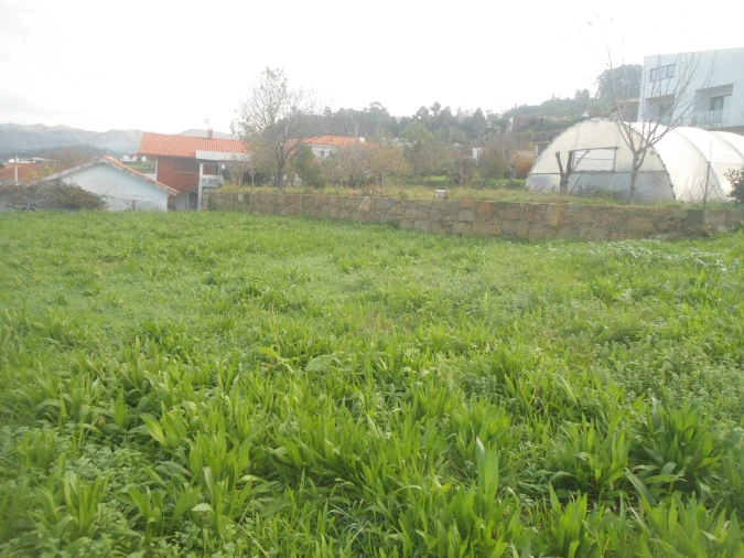 Terreno para Venda em Gondarem Foto 5