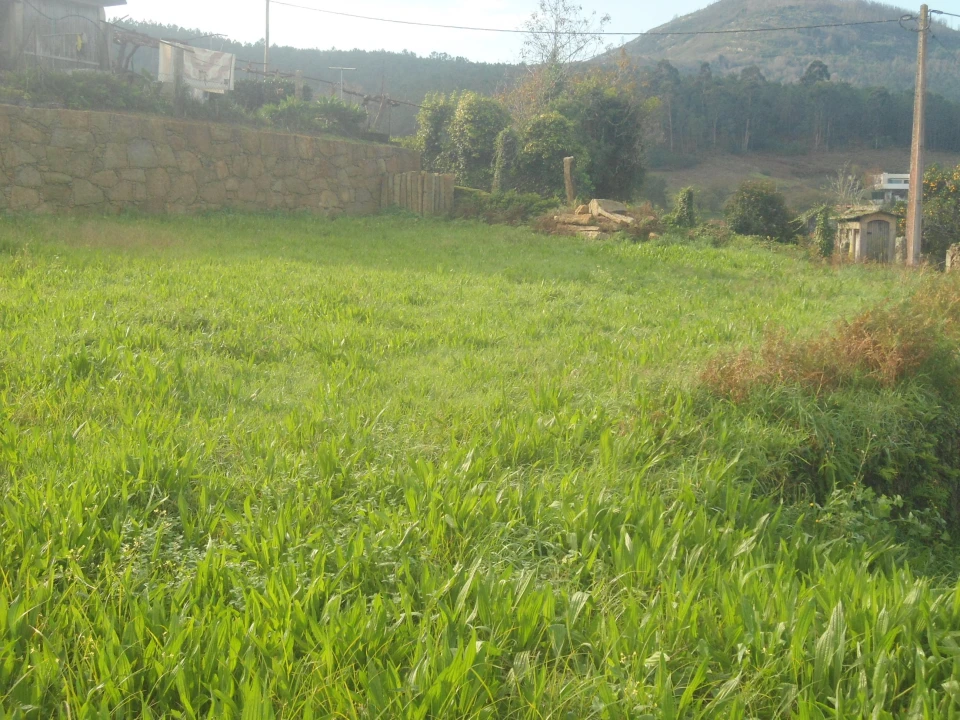 Terreno para Venda em Gondarem Foto 9