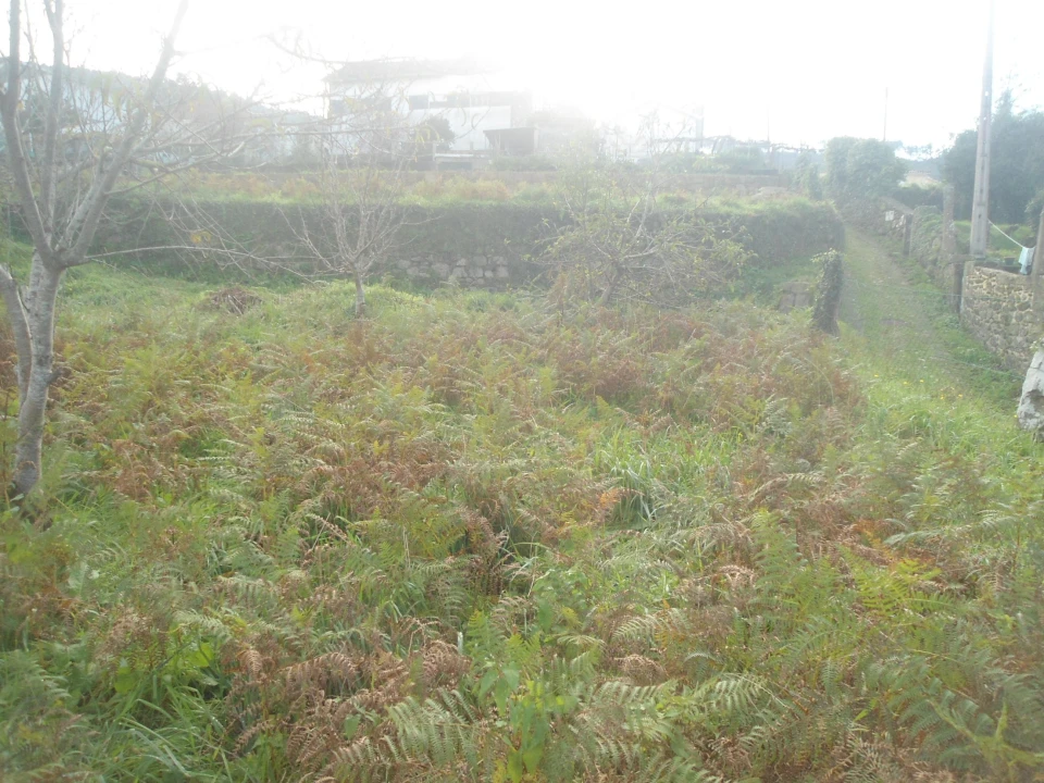 Terreno para Venda em Gondarem Foto 3