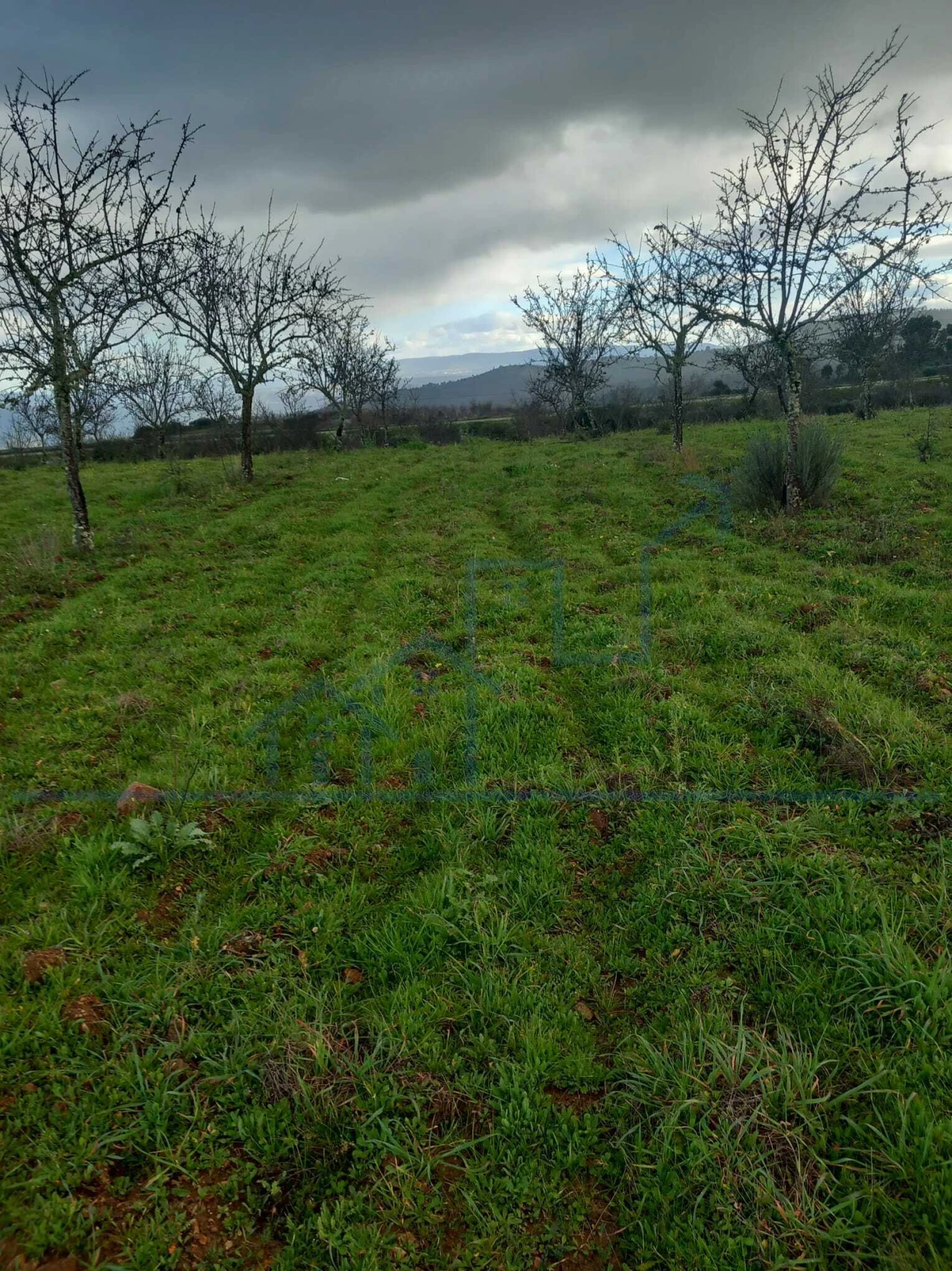 Terreno para Venda em Roios Foto 5