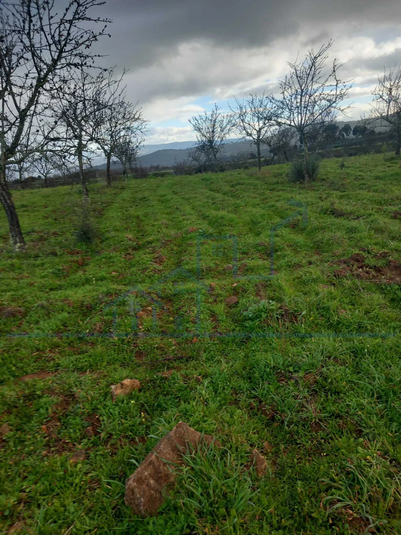 Terreno para Venda em Roios Foto 7