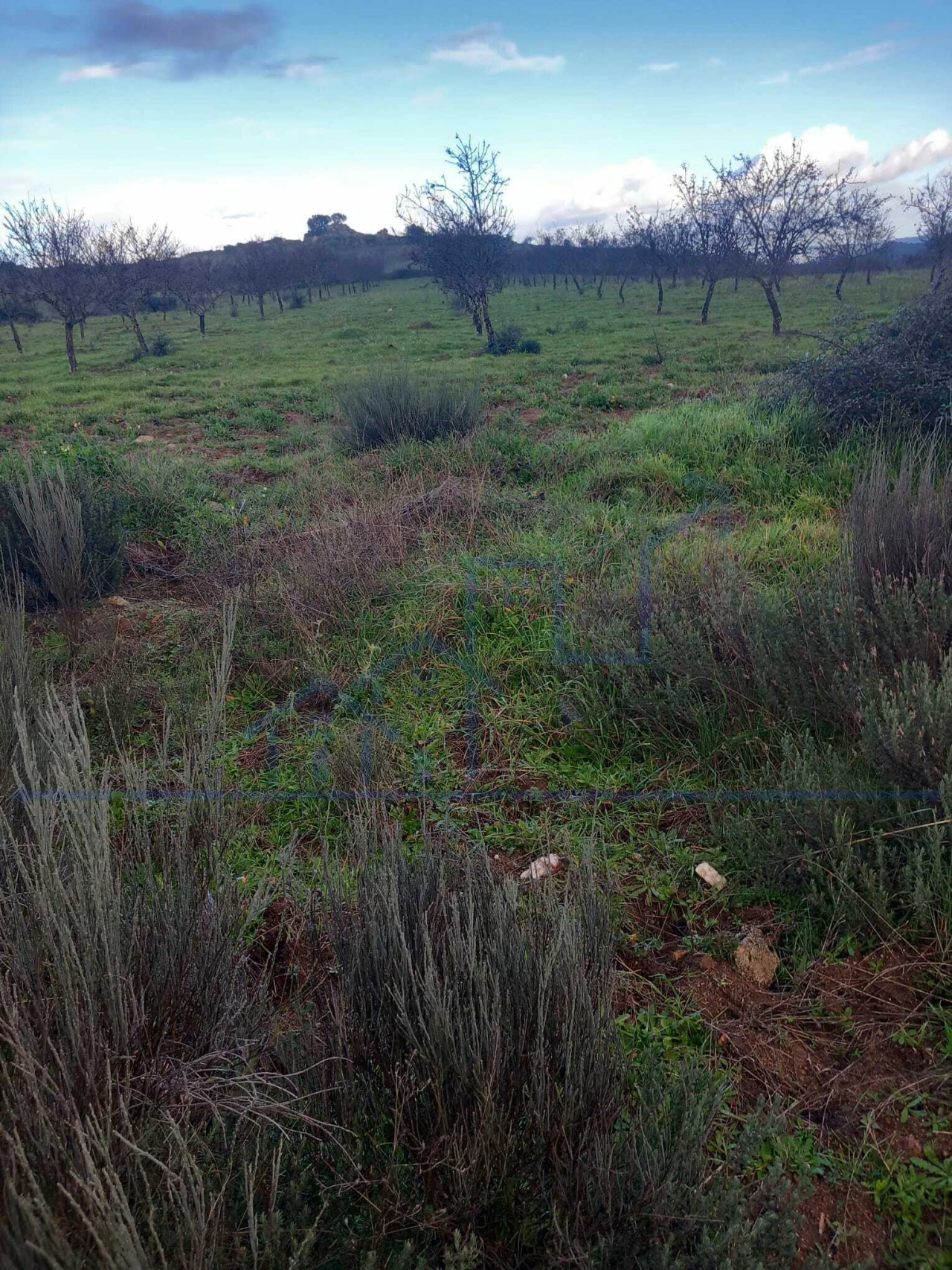 Terreno para Venda em Roios Foto 14