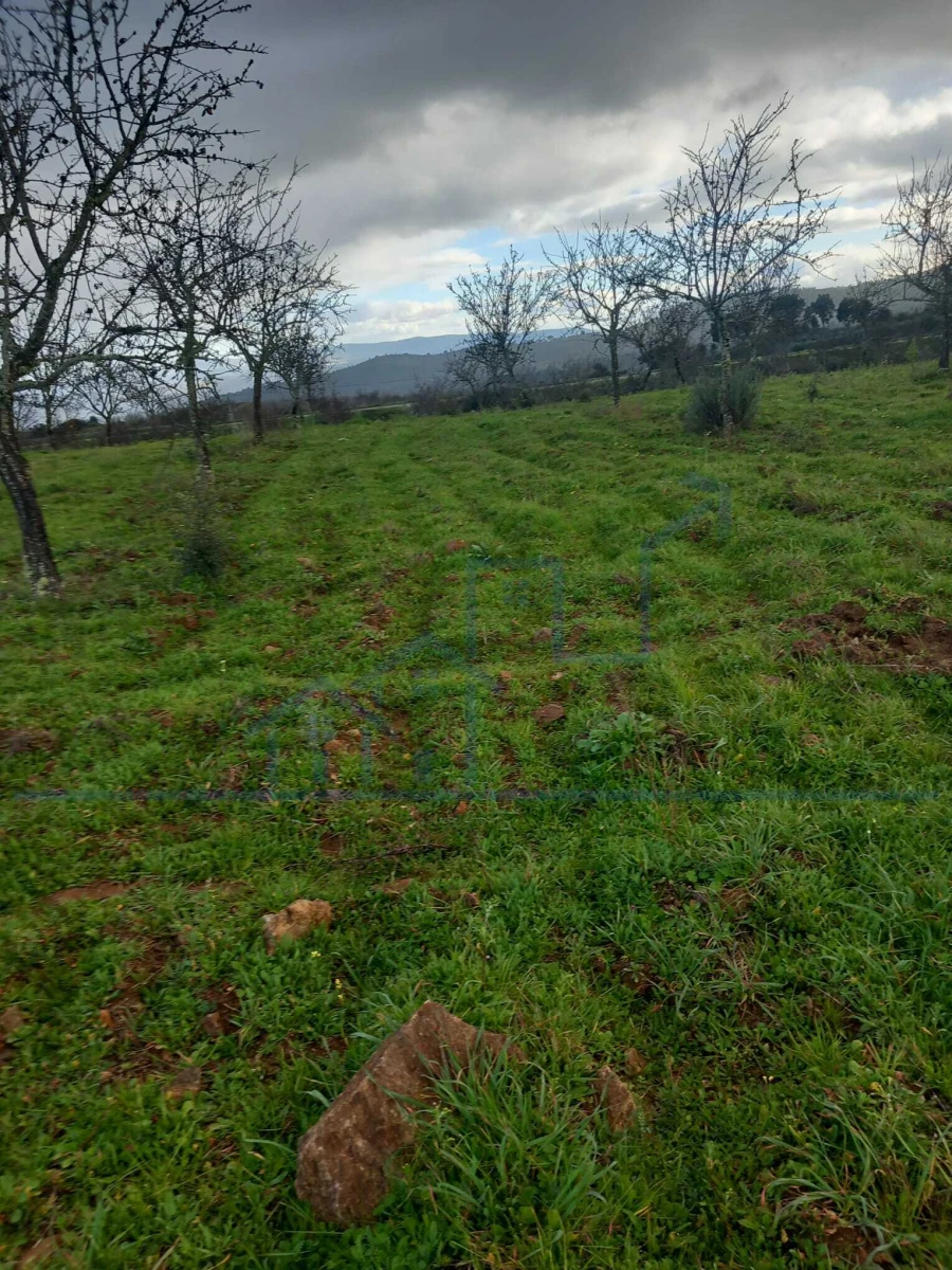 Terreno para Venda em Roios Foto 7