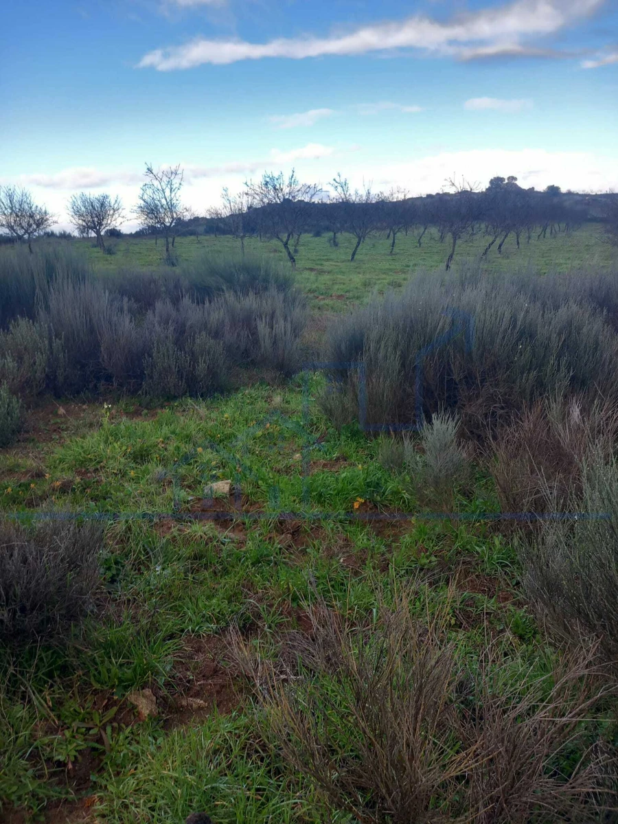 Terreno para Venda em Roios Foto 11