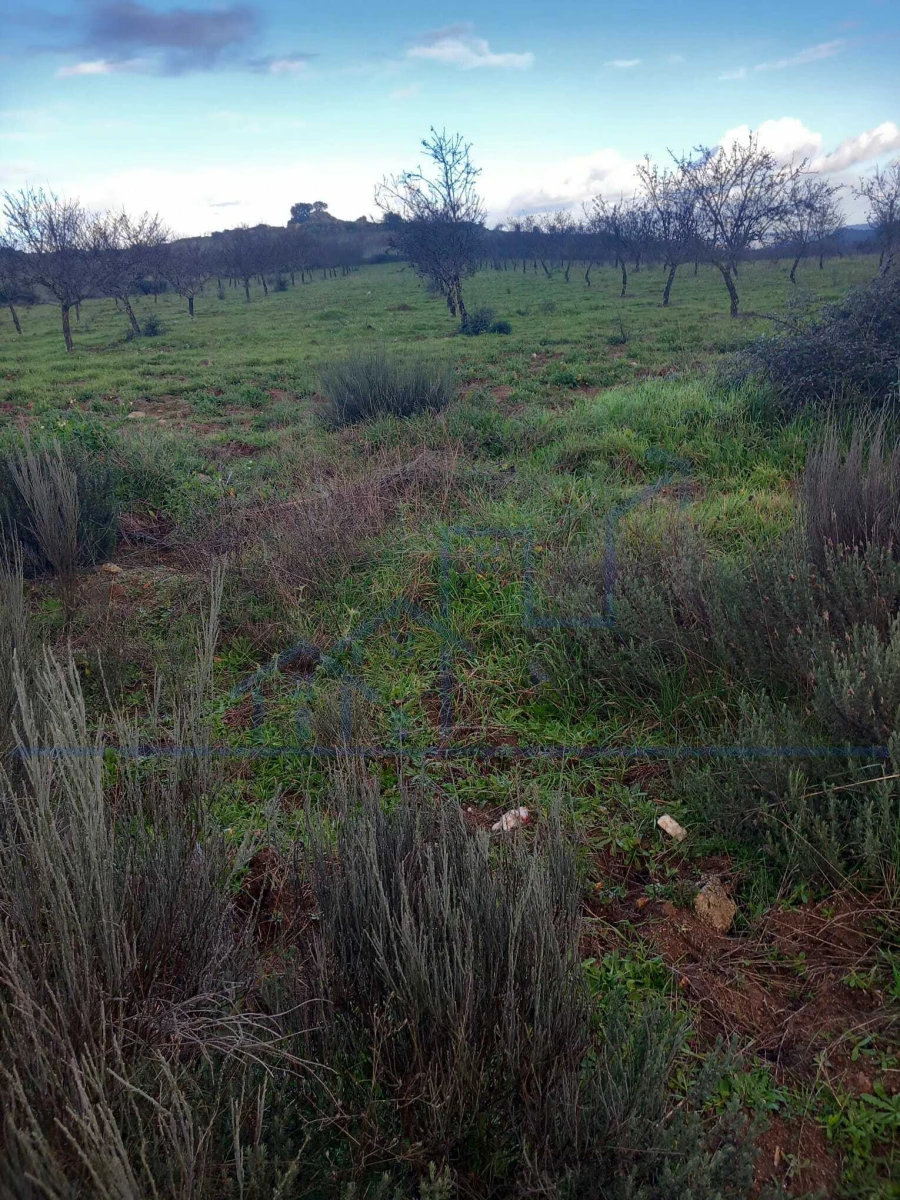 Terreno para Venda em Roios Foto 14