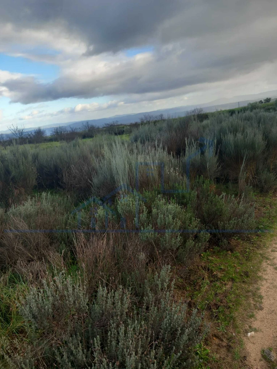 Terreno para Venda em Roios Foto 13