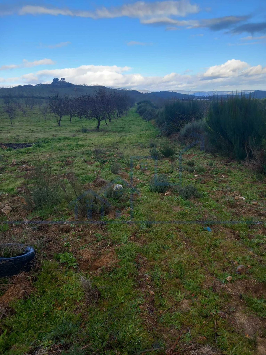 Terreno para Venda em Roios Foto 4