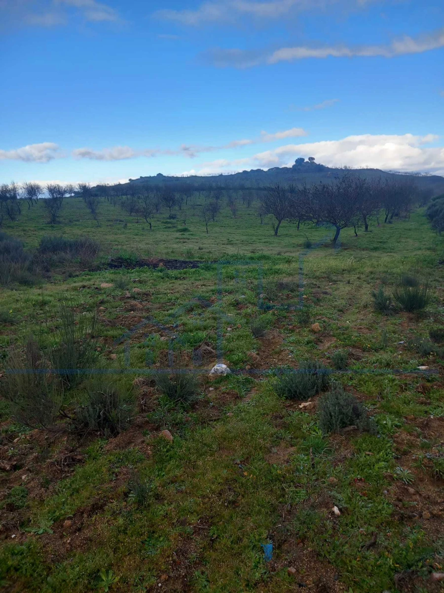 Terreno para Venda em Roios Foto 3