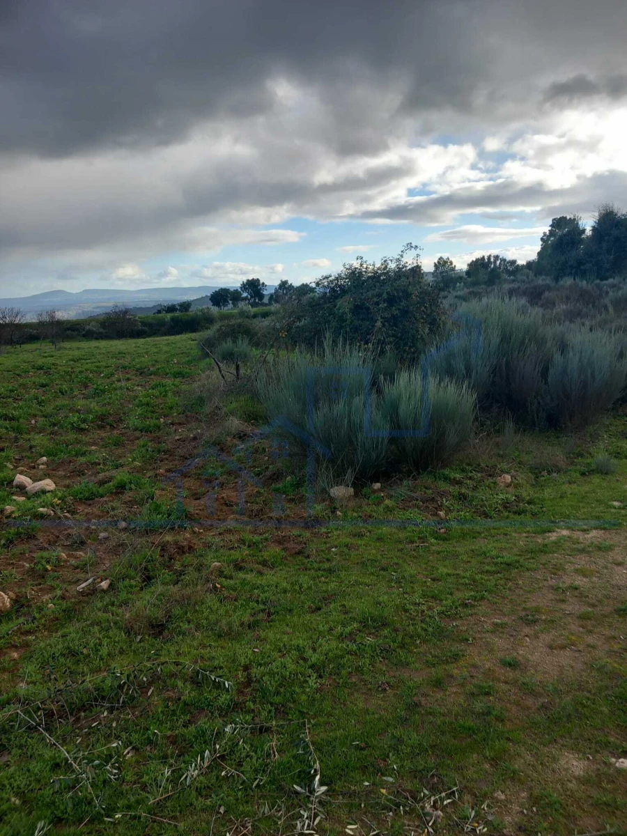 Terreno para Venda em Roios Foto 15