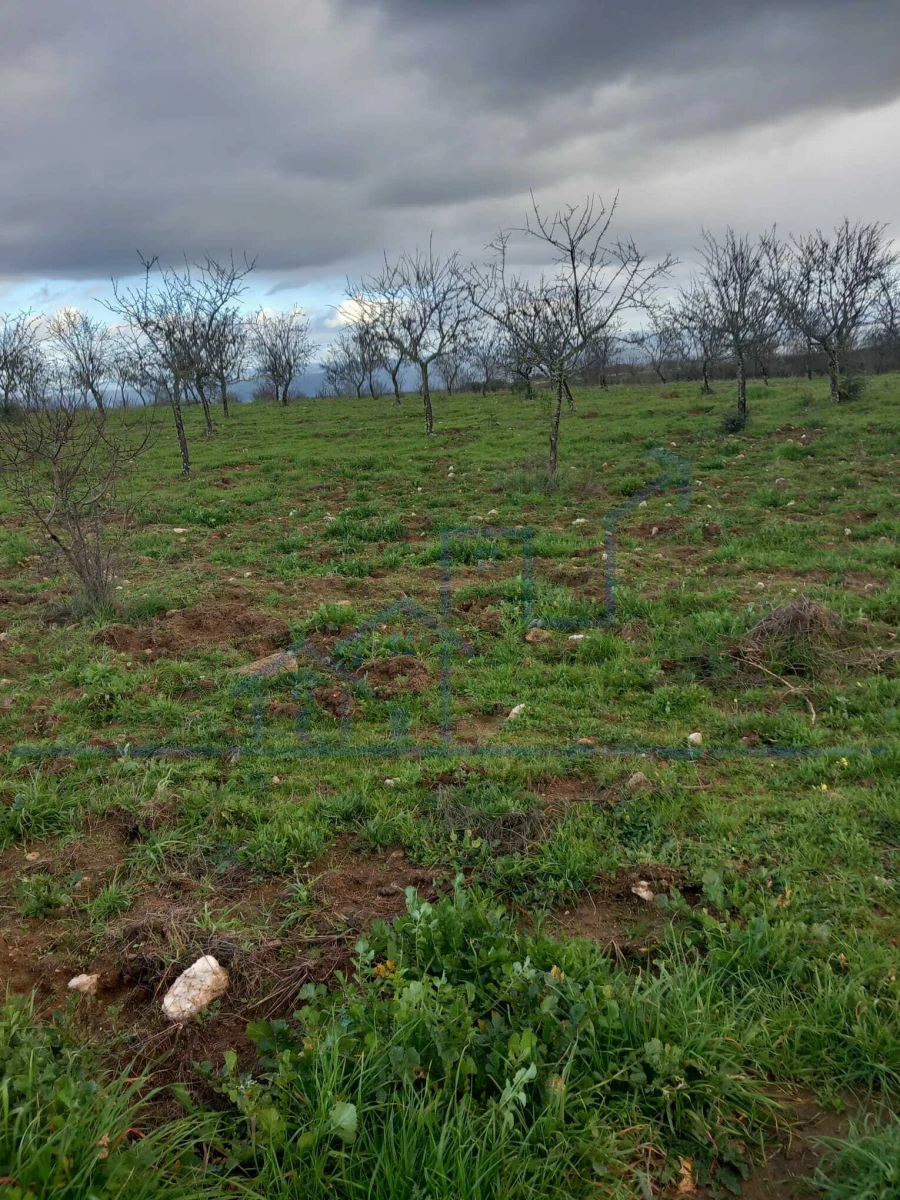 Terreno para Venda em Roios Foto 1