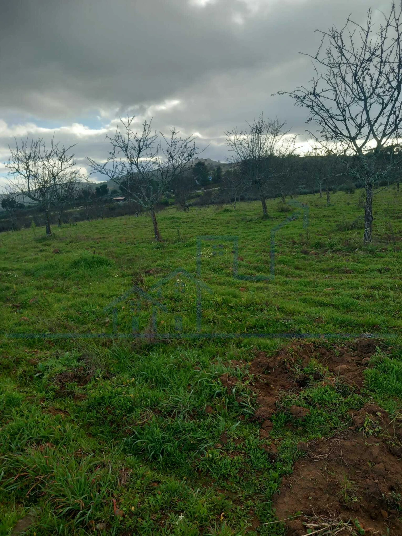 Terreno para Venda em Roios Foto 6