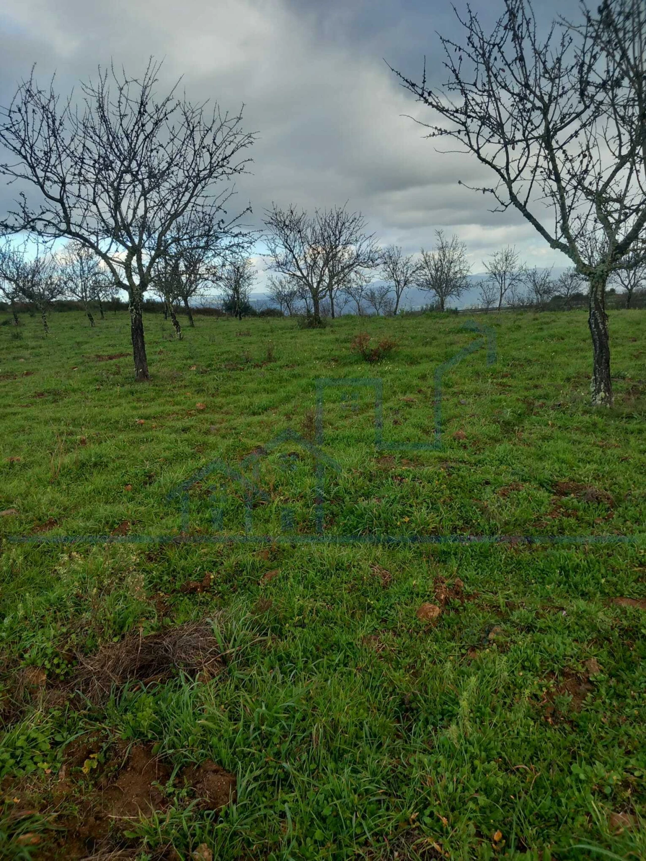 Terreno para Venda em Roios Foto 8