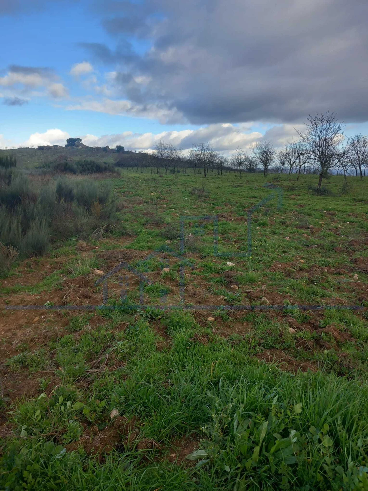 Terreno para Venda em Roios Foto 10