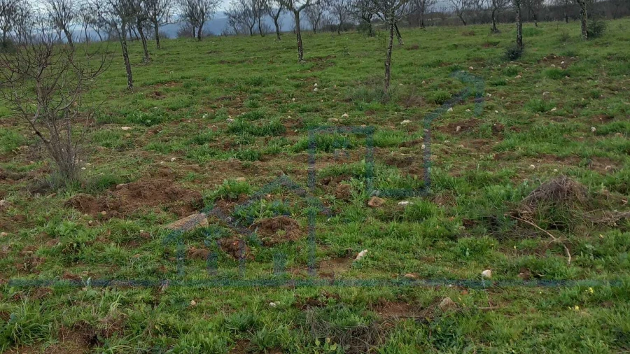 Terreno para Venda em Roios