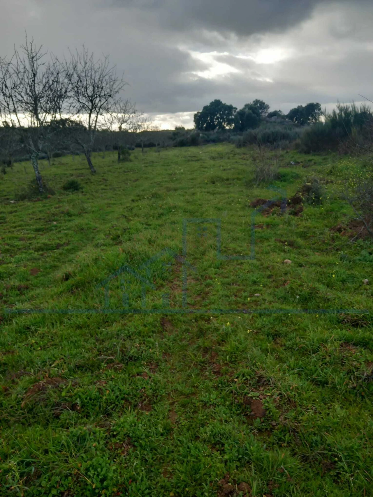 Terreno para Venda em Roios Foto 9