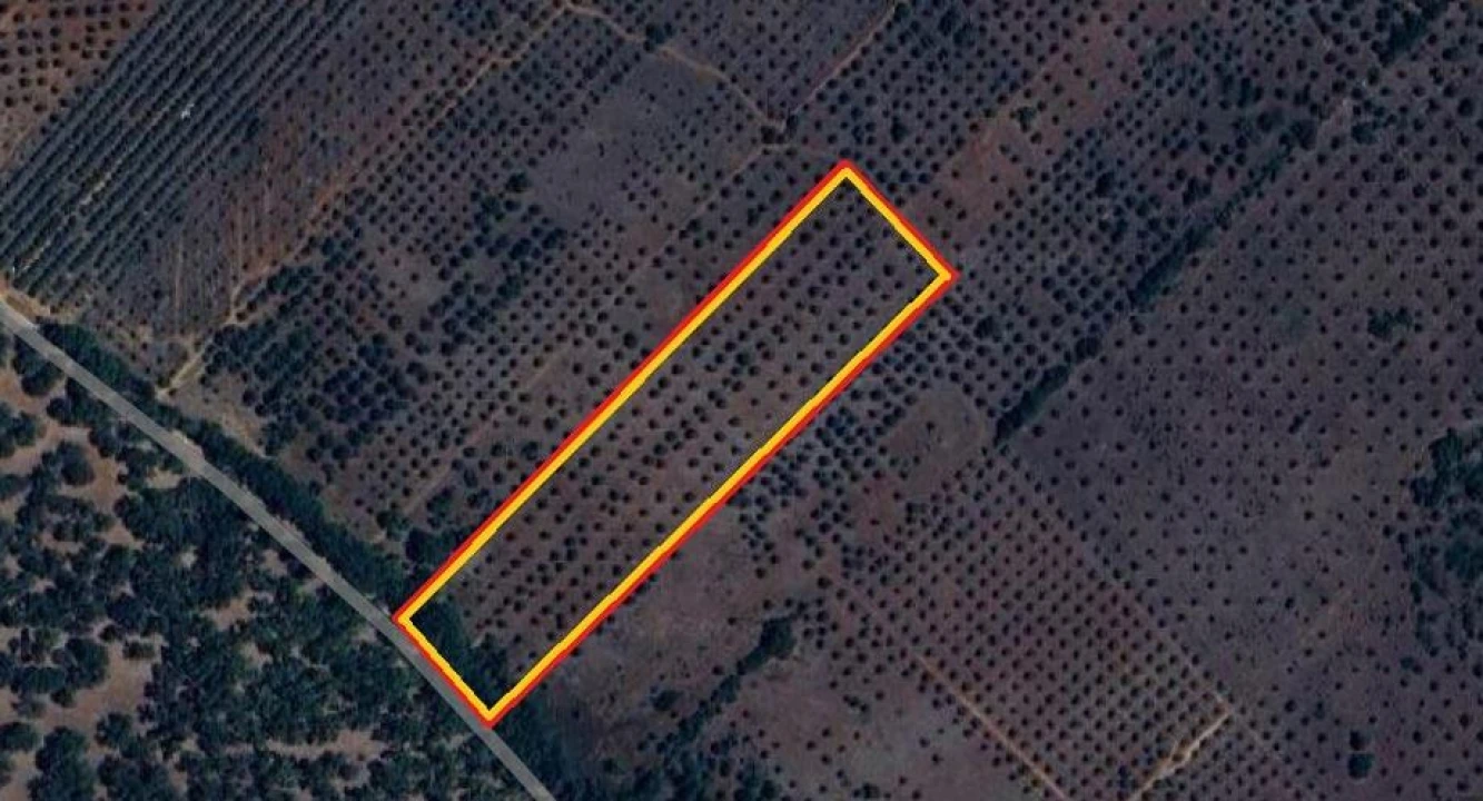 Terreno para Venda em Gloria Foto 13