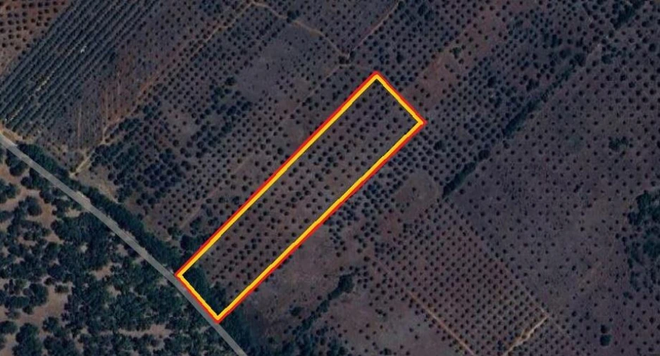 Terreno para Venda em Gloria Foto 13