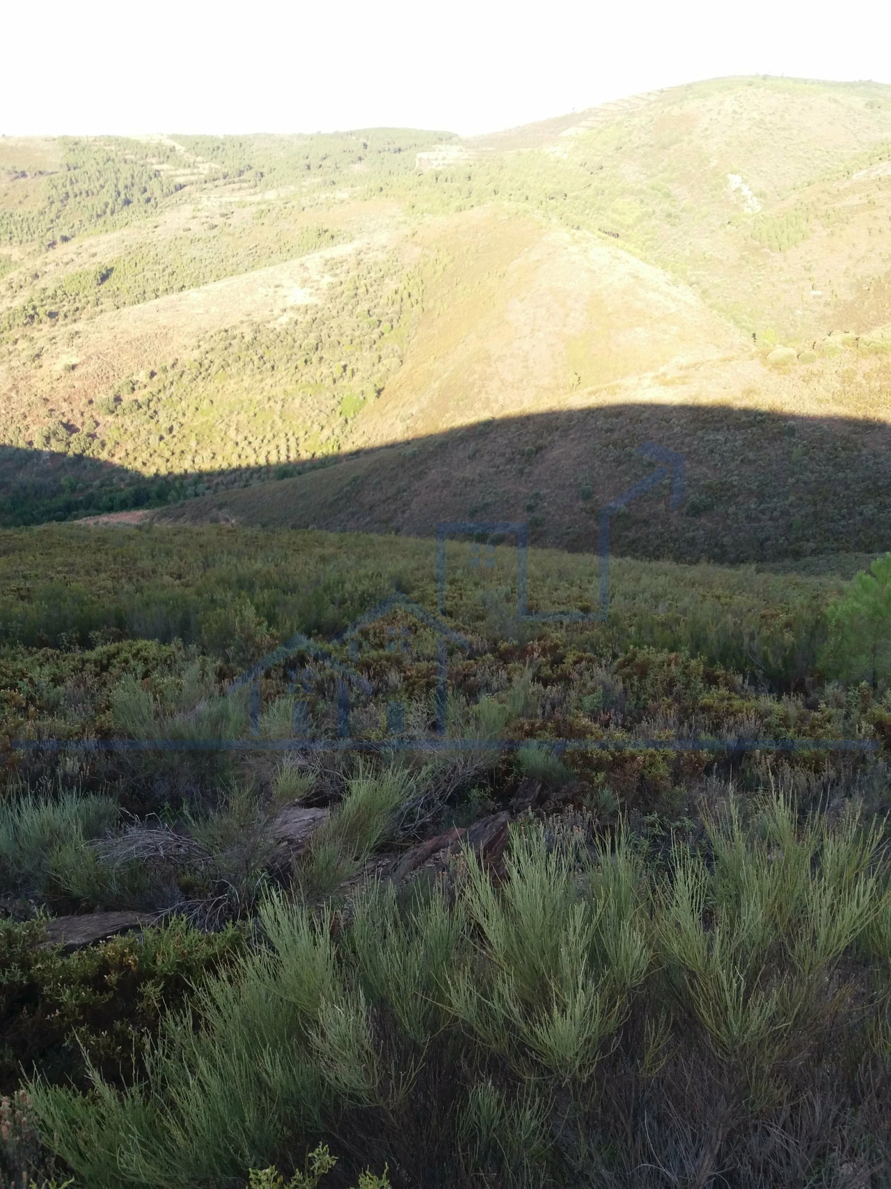 Terreno para Venda em Felgueiras e Maçores Foto 5