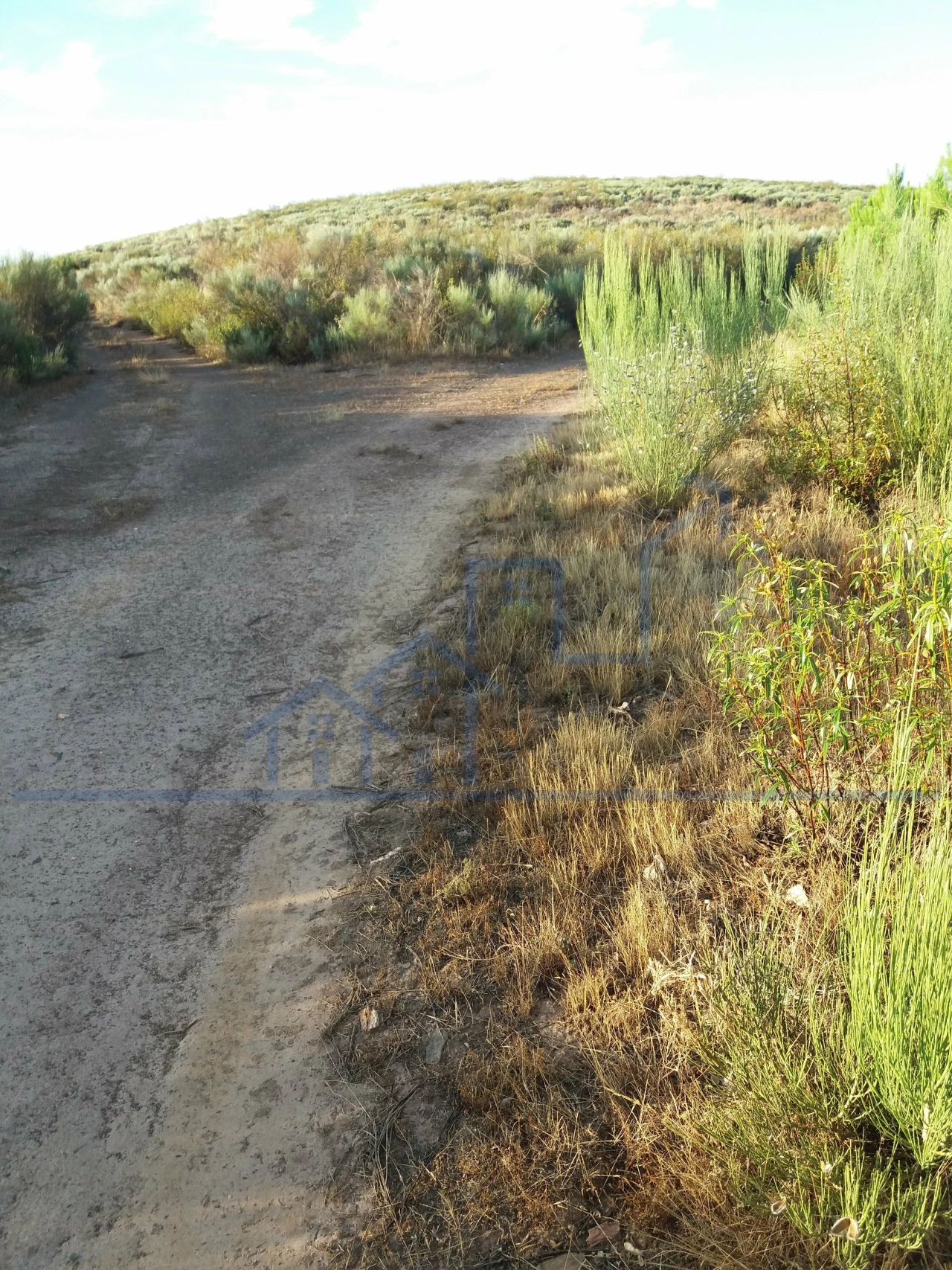 Terreno para Venda em Felgueiras e Maçores Foto 2