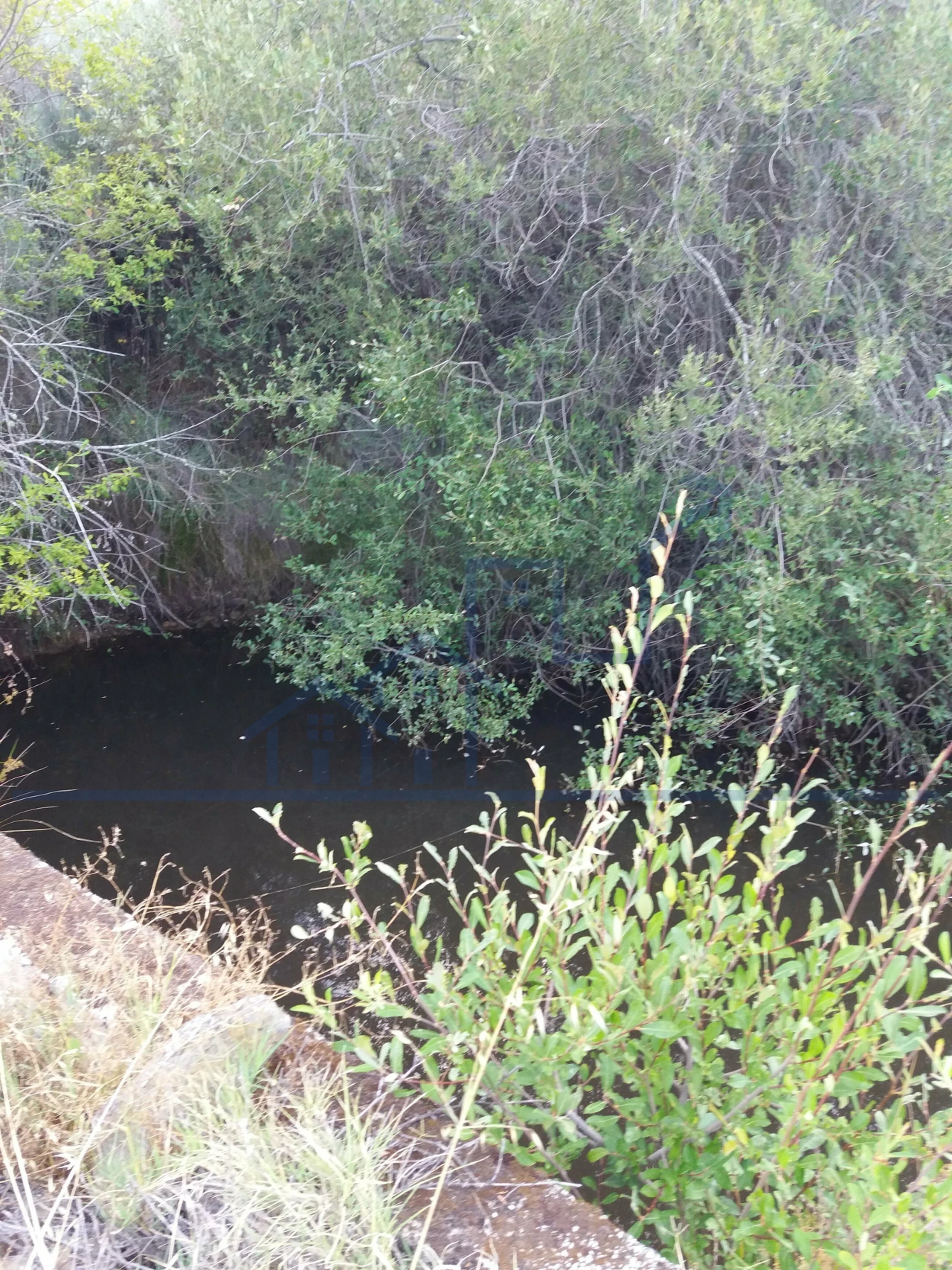 Terreno para Venda em Felgueiras e Maçores Foto 11