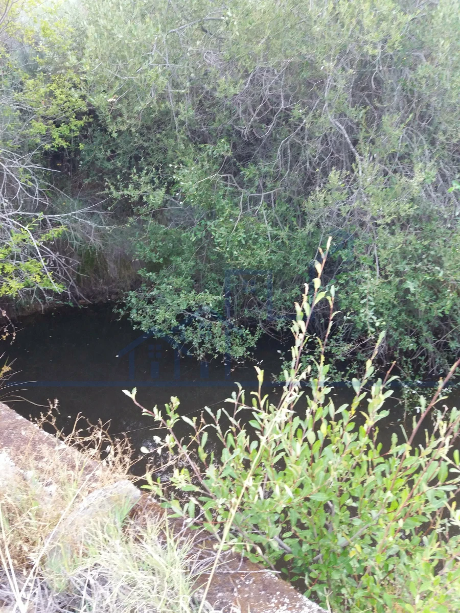 Terreno para Venda em Felgueiras e Maçores Foto 11
