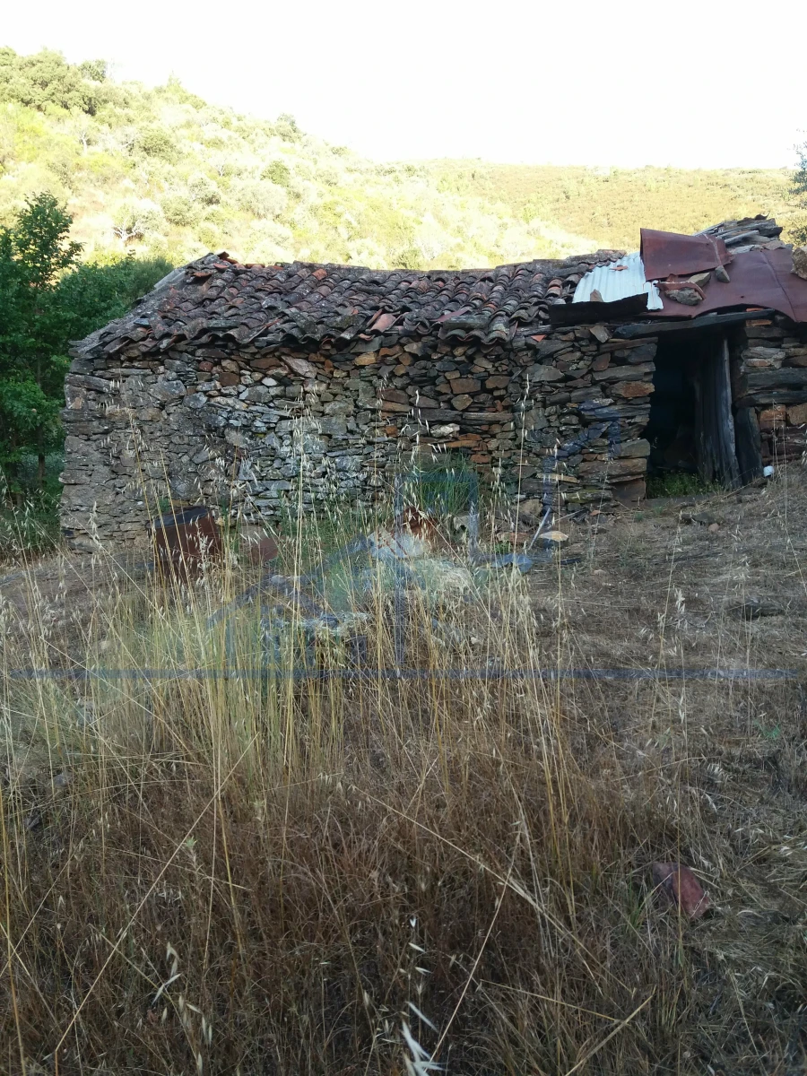 Terreno para Venda em Felgueiras e Maçores Foto 3