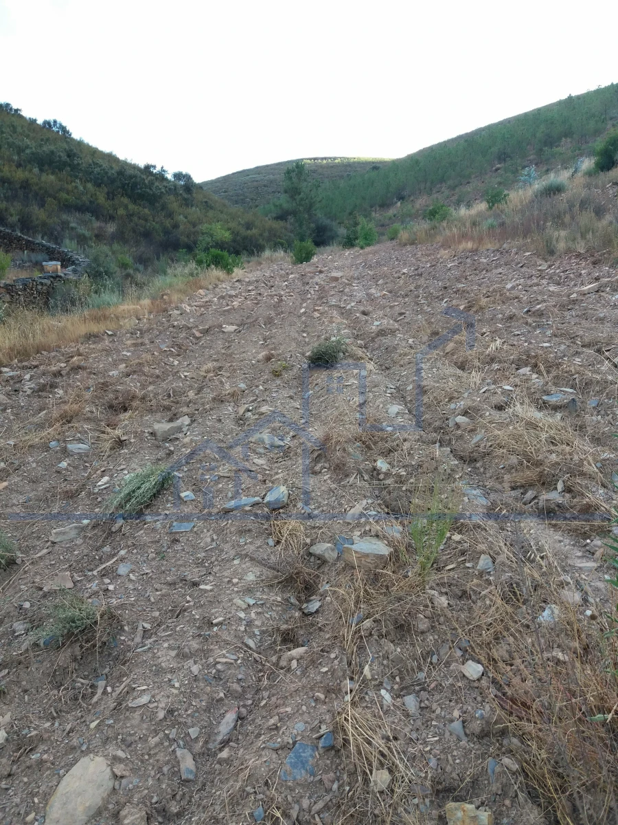 Terreno para Venda em Felgueiras e Maçores Foto 8