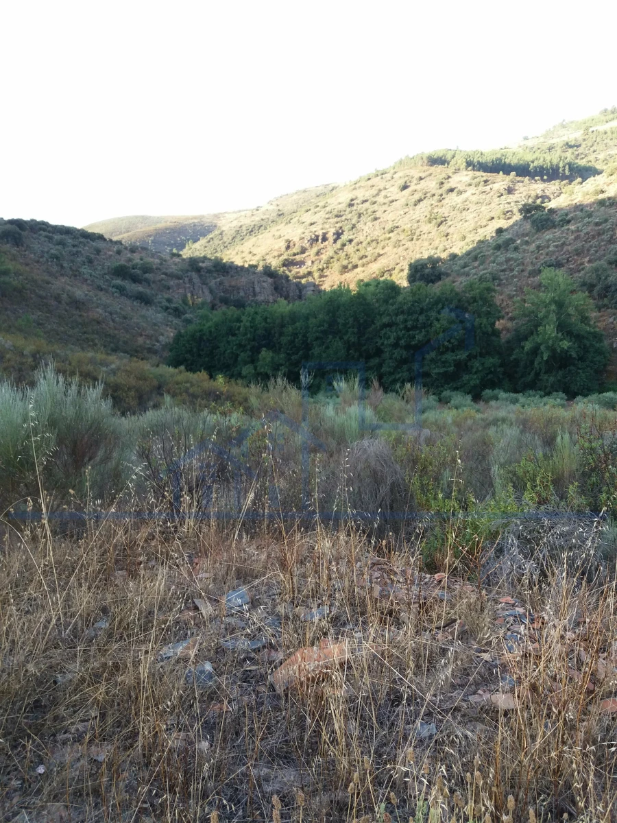 Terreno para Venda em Felgueiras e Maçores Foto 6