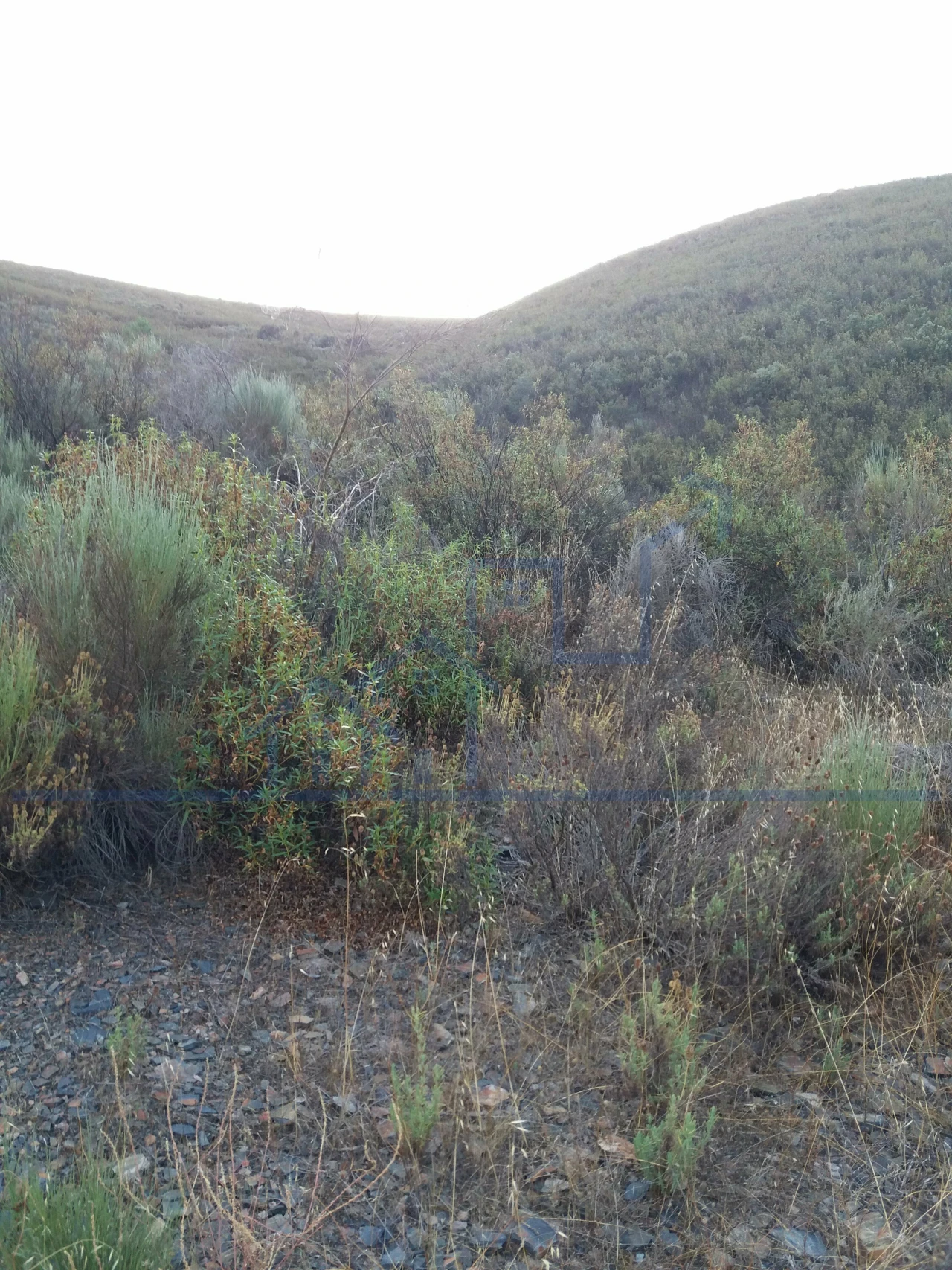 Terreno para Venda em Felgueiras e Maçores Foto 7