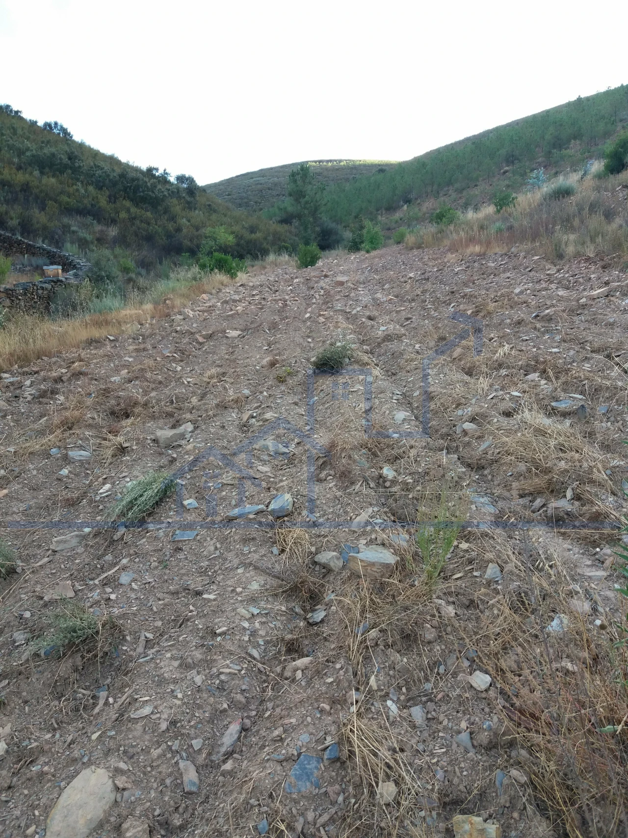 Terreno para Venda em Felgueiras e Maçores Foto 8