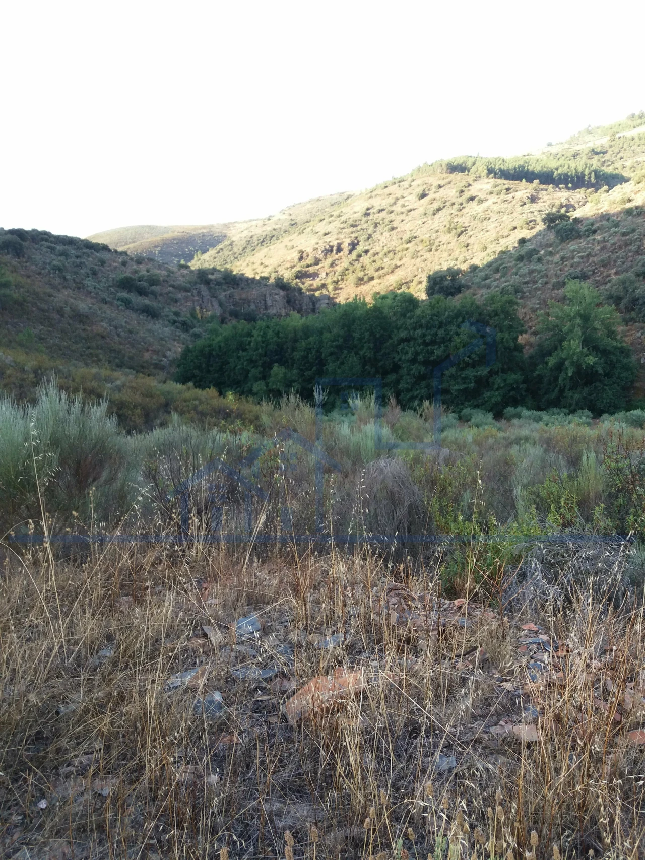 Terreno para Venda em Felgueiras e Maçores Foto 6