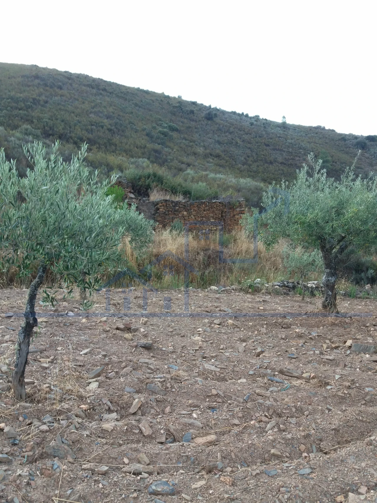 Terreno para Venda em Felgueiras e Maçores Foto 9