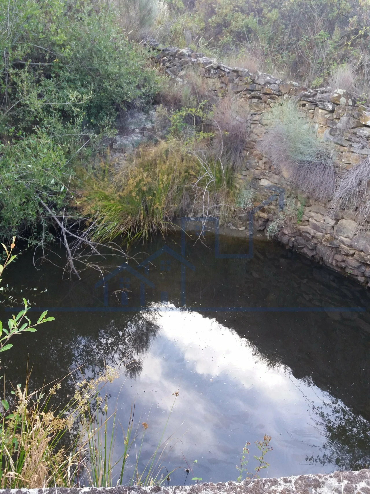 Terreno para Venda em Felgueiras e Maçores Foto 10