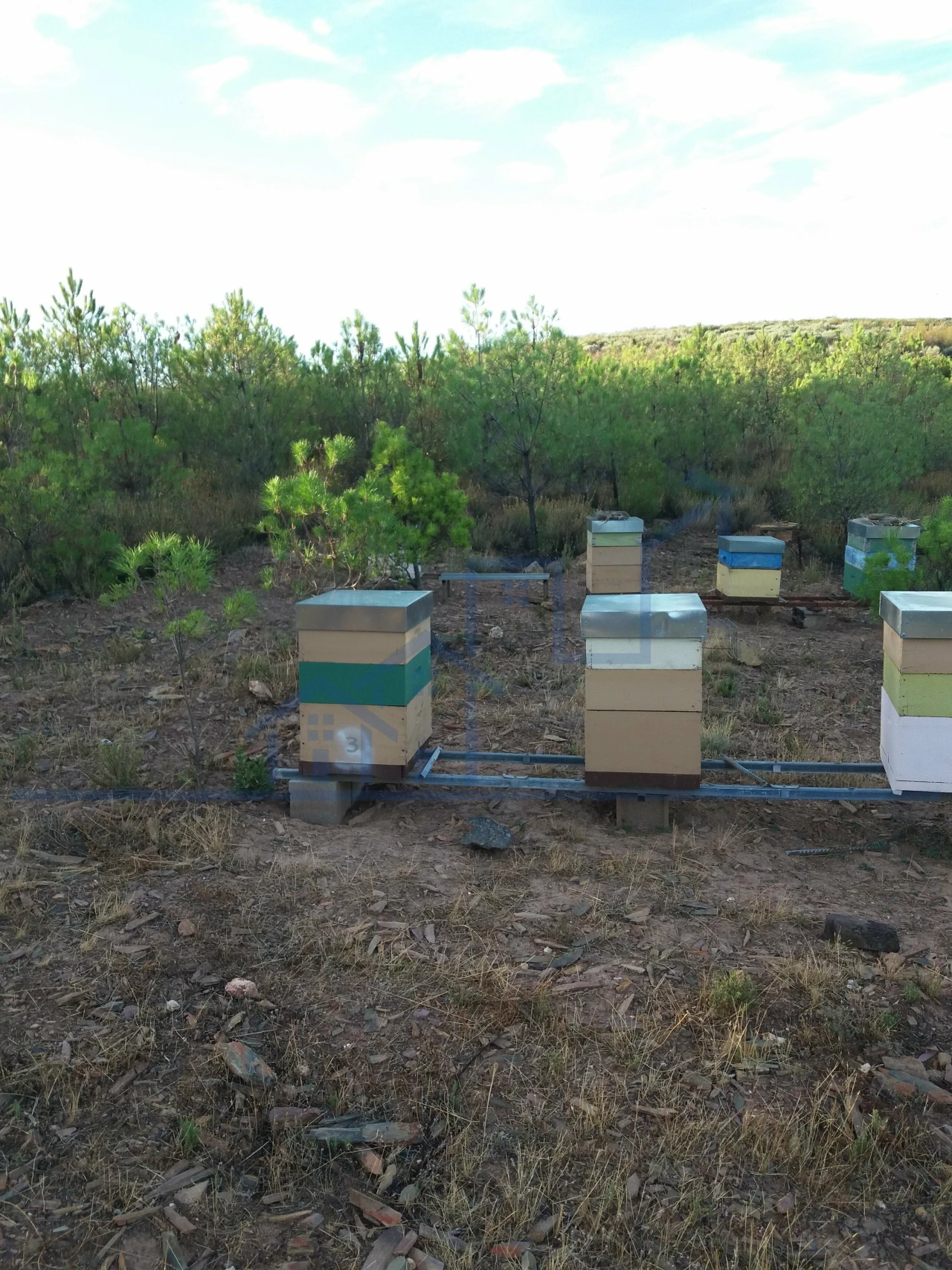 Terreno para Venda em Felgueiras e Maçores Foto 1