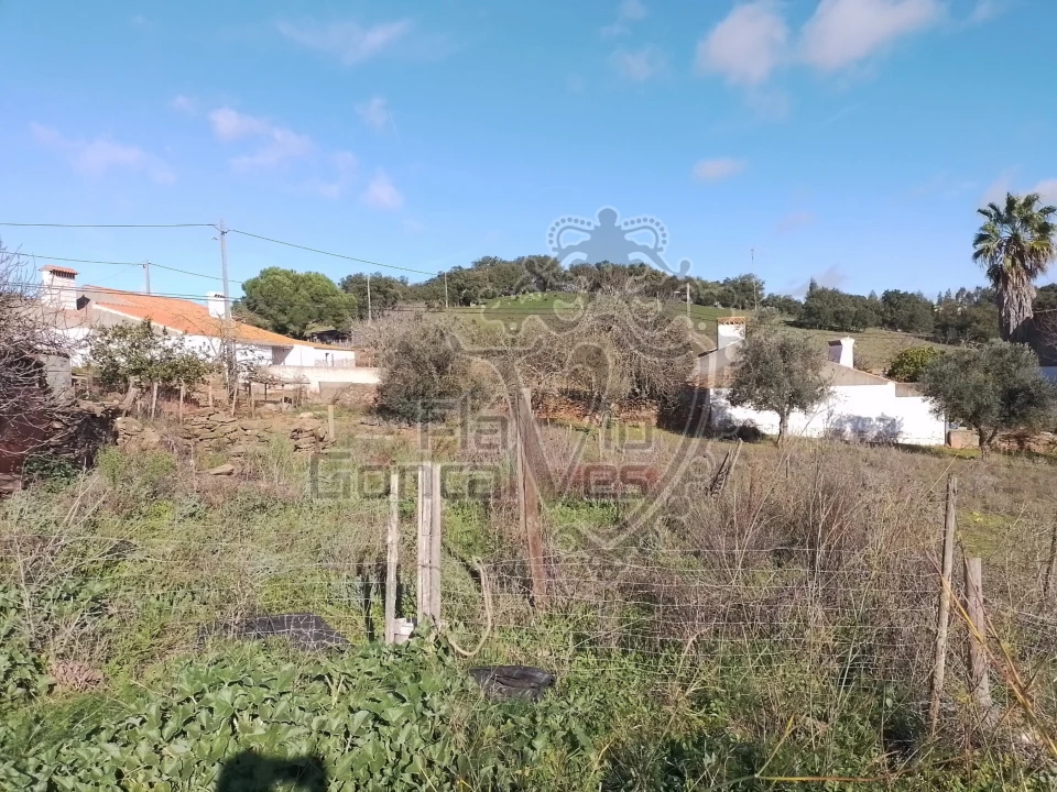 Terreno para Venda em Gloria Foto 4