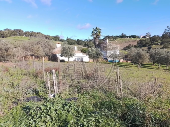 Terreno para Venda em Gloria Foto 5