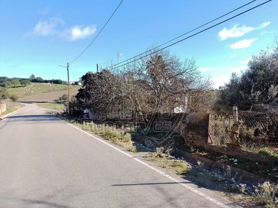 Terreno para Venda em Gloria Foto 2
