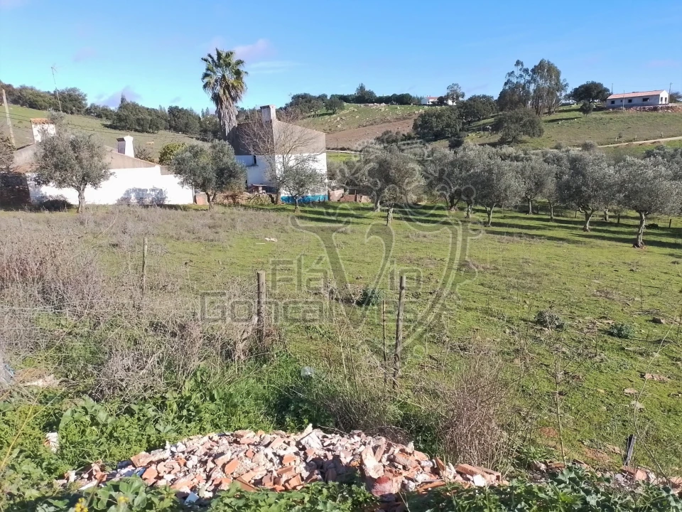 Terreno para Venda em Gloria Foto 6