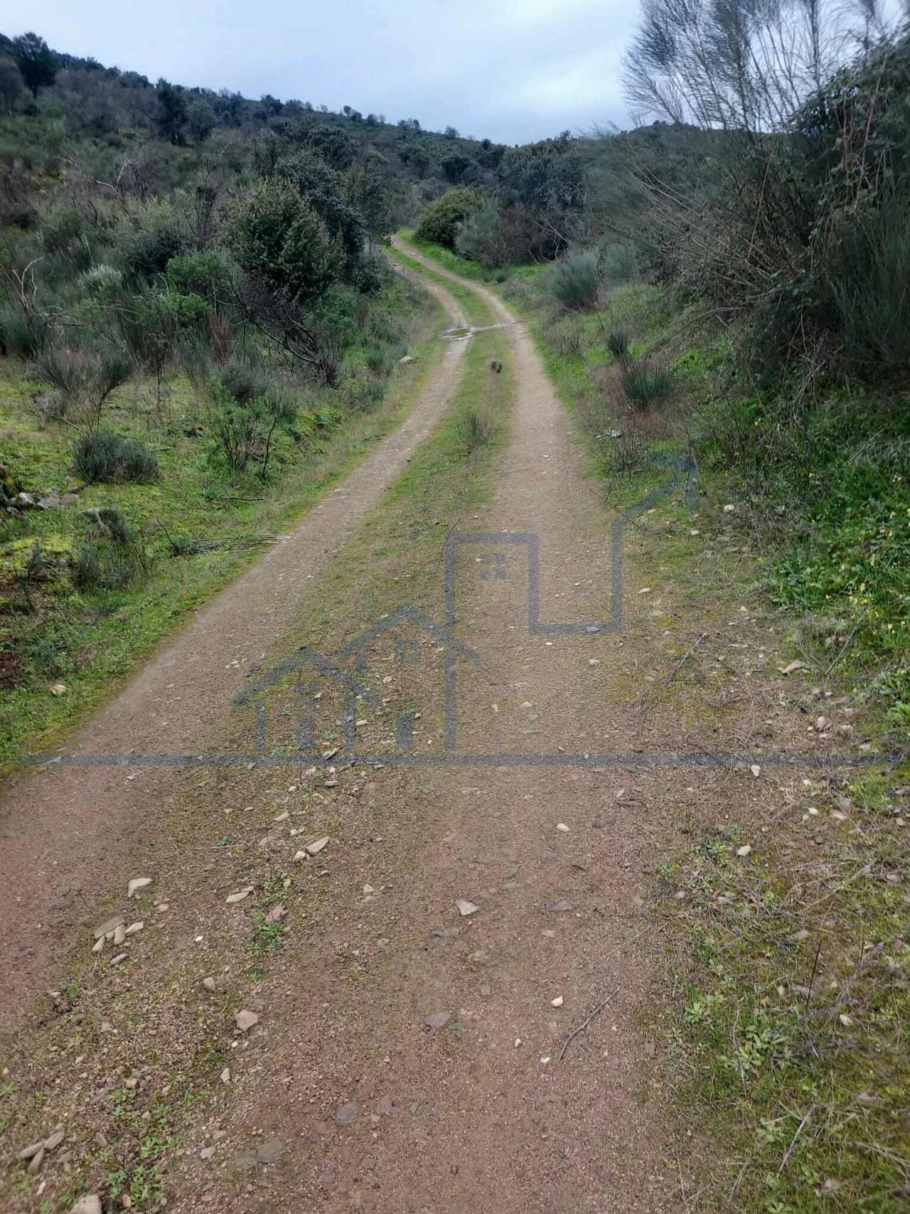 Terreno para Venda em Adeganha e Cardanha Foto 2