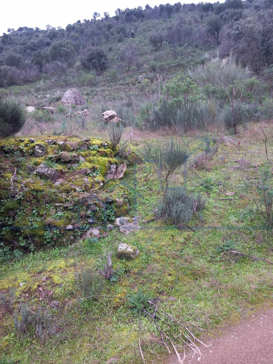 Terreno para Venda em Adeganha e Cardanha Foto 3