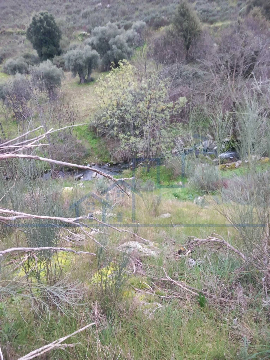 Terreno para Venda em Adeganha e Cardanha Foto 10