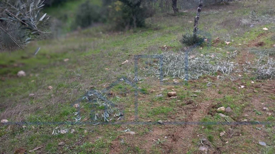 Terreno para Venda em Adeganha e Cardanha